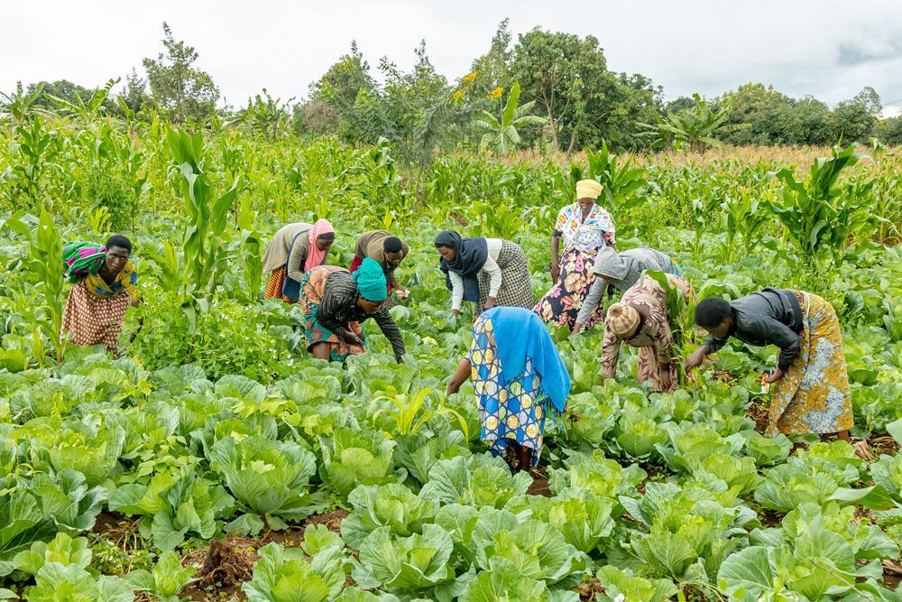 Karongi: Abagore bo mu cyaro barishimira intambwe bateye